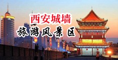 黑大吊干大白屁股中国陕西-西安城墙旅游风景区